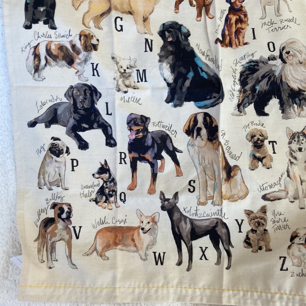 Towel✨from💕Anthropologie💕 Dish towel - Picture 8 of 14